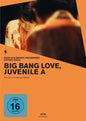 Big Bang Love, Juvenile A (OmU) - (Edition Asien) Takashi Miike DVD