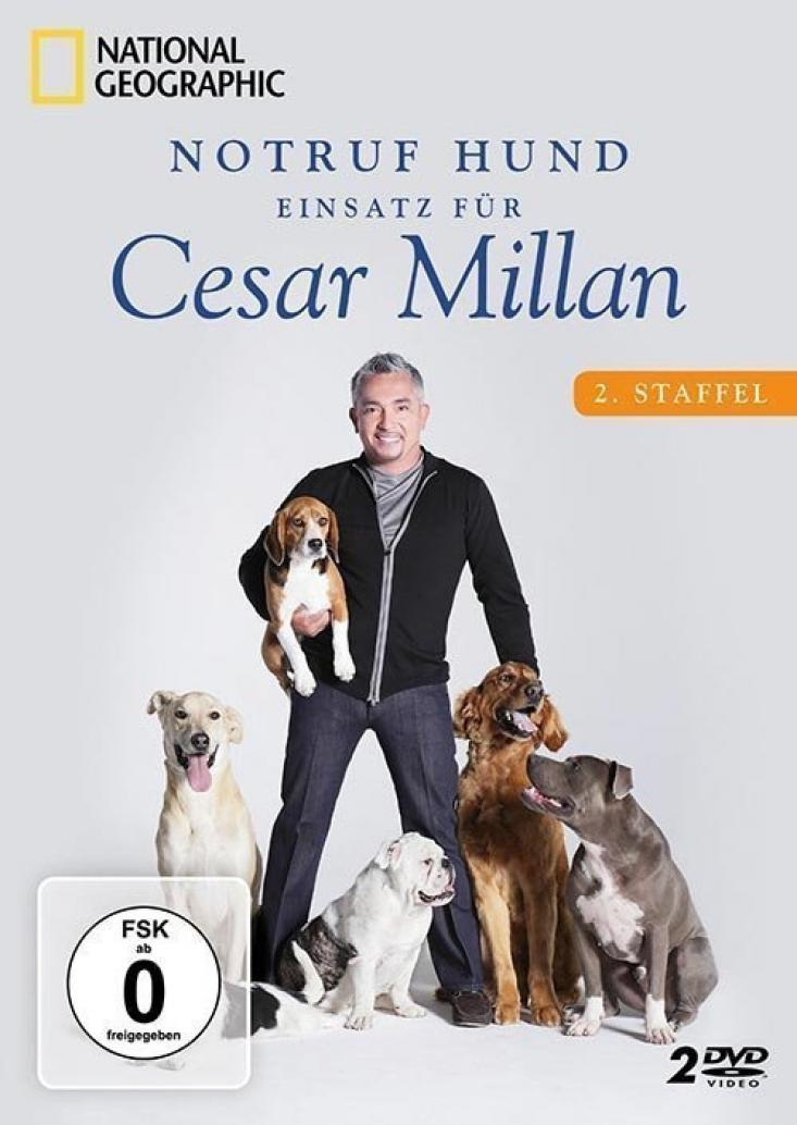 Notruf Hund - Einsatz für Cesar Millan - 2. Staffel (2DVDs)